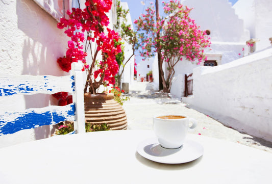 Tropical Bear Coffee Adventure in Tunisia