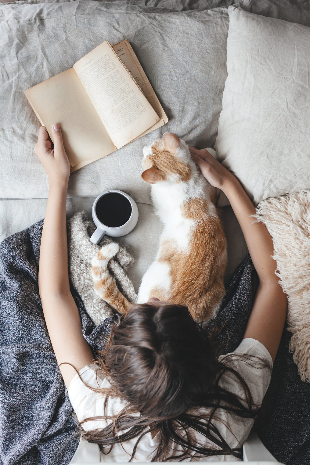 Girl reading in bed cuddling an orange cat and drinking Tropical Bear specialty coffee from a mug good coffee tastiest coffee coffee in bed