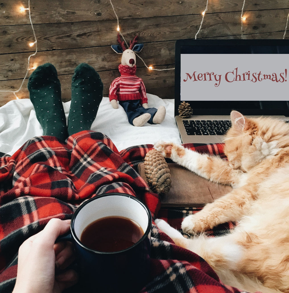 A cup of Tropical Bear Santa's Favorite Blend Specialty Coffee held by someone on a Christmas day. Coffee cat. Good coffee.