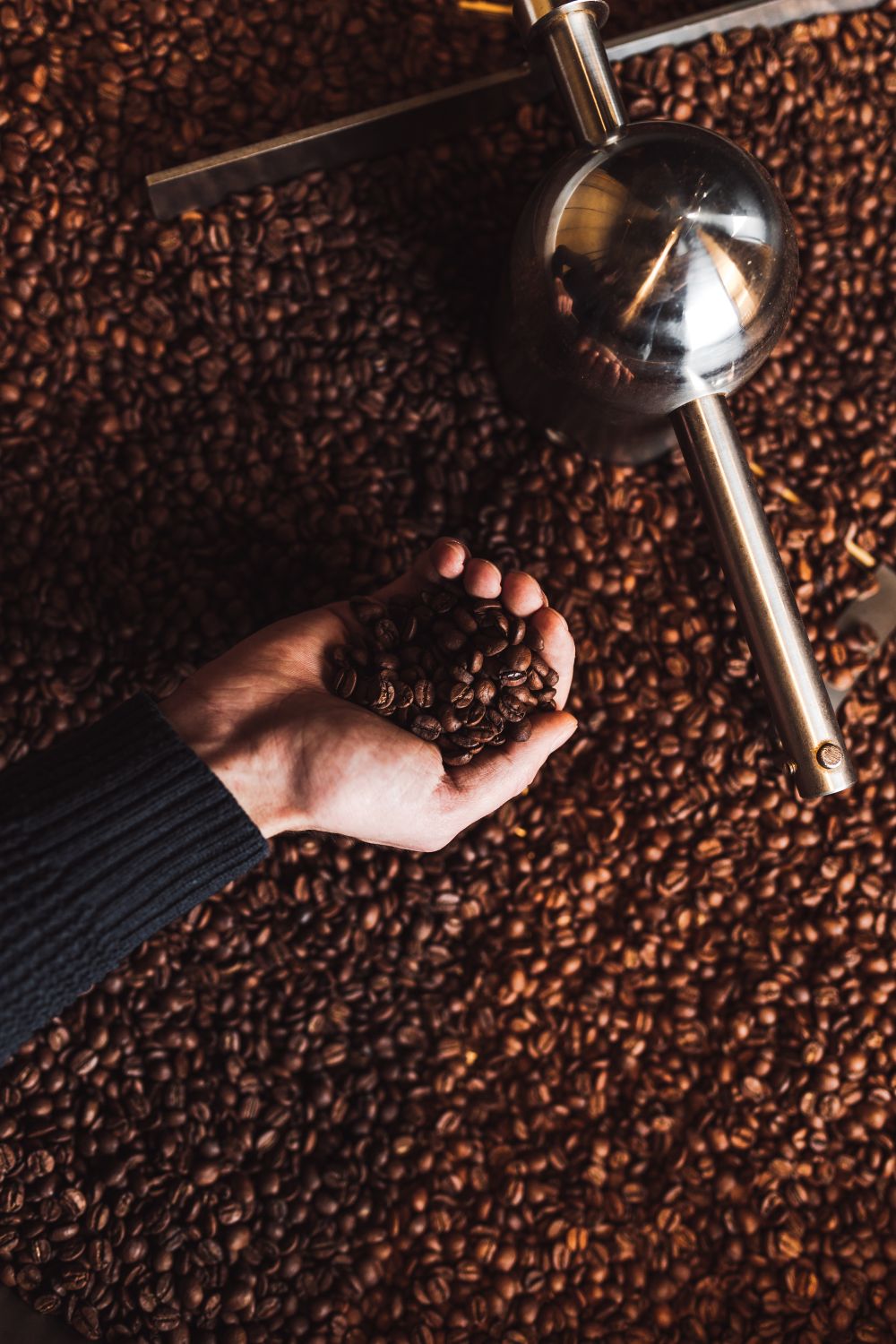 Coffee Roaster Medium Roast Single Origin Specialty Coffee Freshly Roasted