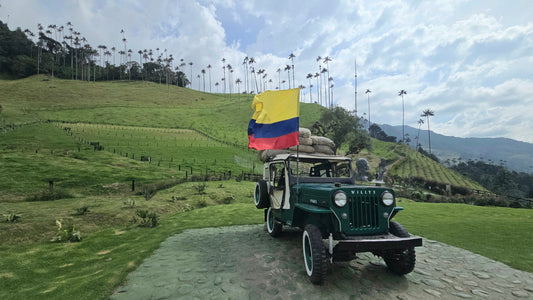Coffee Adventure in Colombia