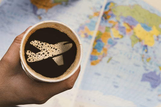 Tropical Bear Coffee World Traveler Coffee Adventure