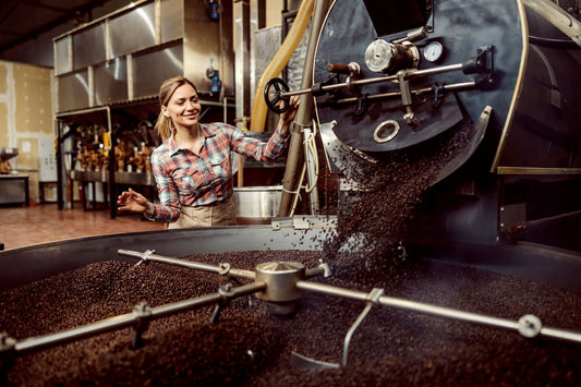 Fresh roasted coffee in roastery specialty coffee