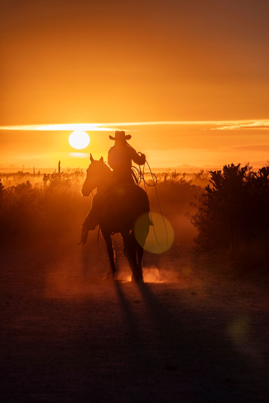 Cowboy Kick Specialty Coffee Rider