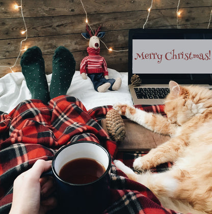 A cup of Tropical Bear Santa's Favorite Blend Specialty Coffee held by someone on a Christmas day. Coffee cat. Good coffee.