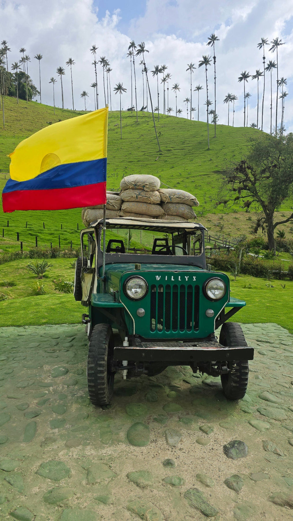 Tropical Bear Coffee Jeep in Colombia Cocora Valley Salento Good Coffee