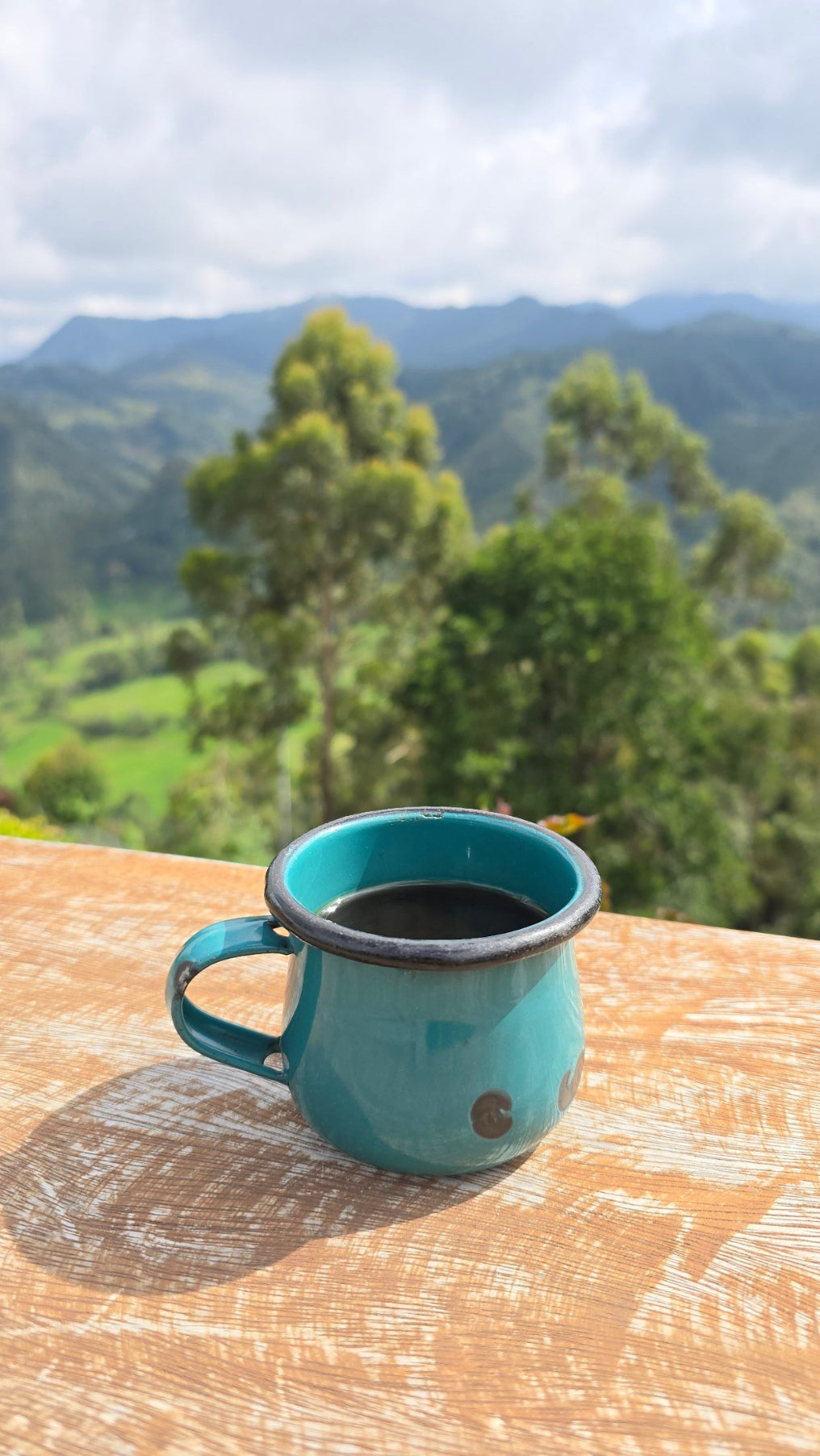 Tropical Bear Coffee Mug in Colombia tastiest coffee ethical coffee