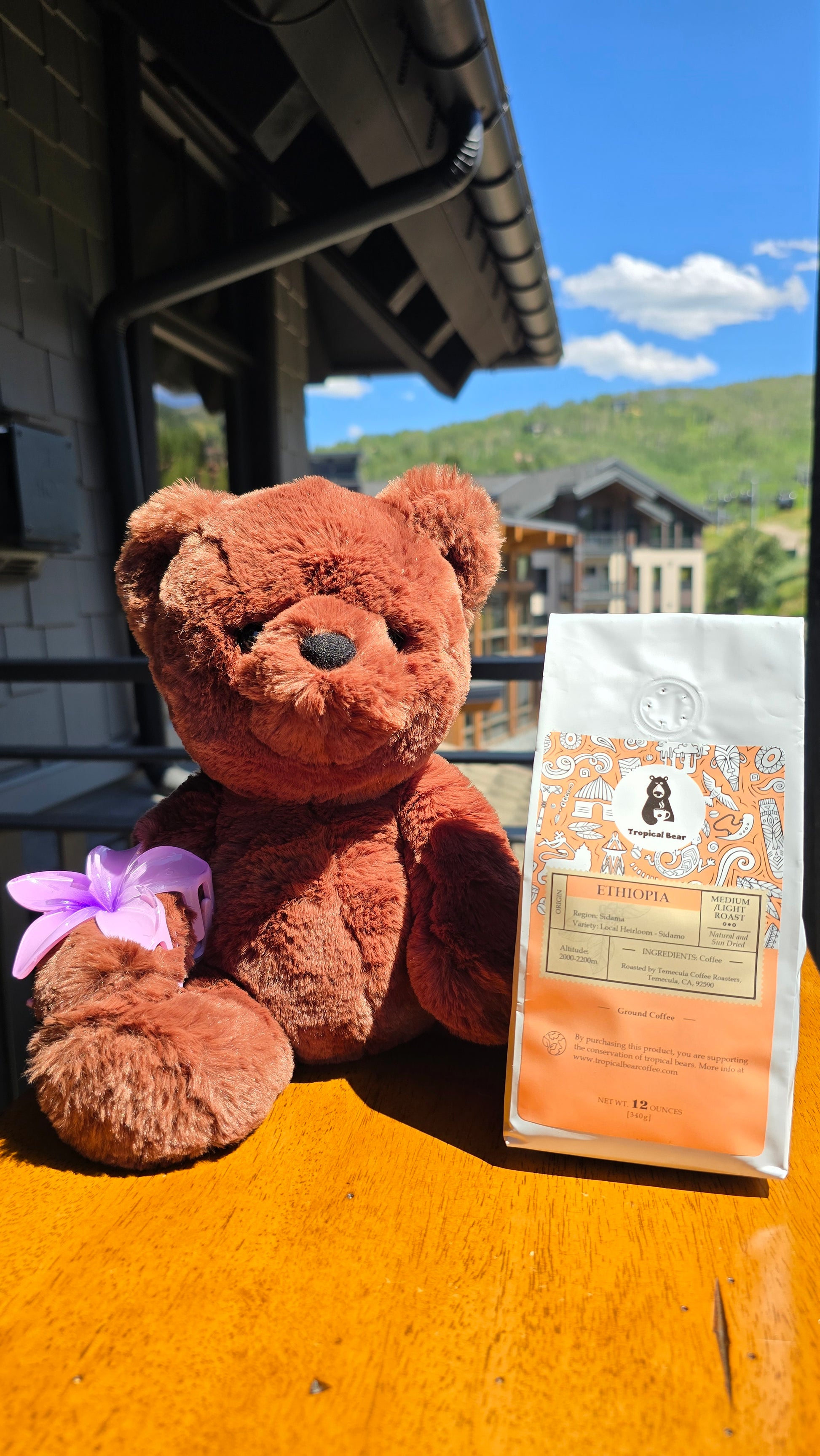 Ethiopia single origin coffee tropical bear ordering online