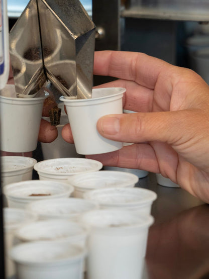 Hand filling a small white cup with coffee using a metal device, surrounded by other similar cups.