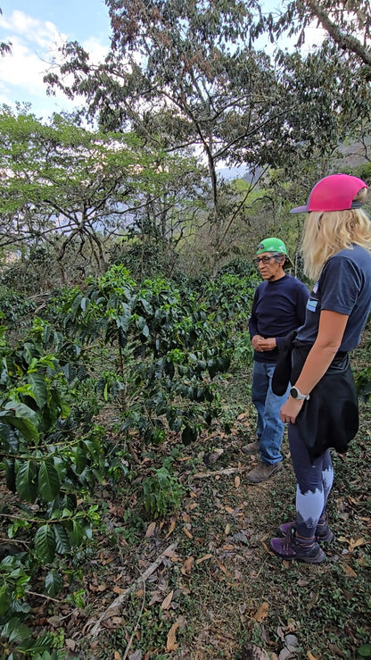 Alejandro explaining Erica how he is growing and producing coffee on his coffee farm in Peru. The result is the tastiest coffee and ethical coffee, organic coffee.