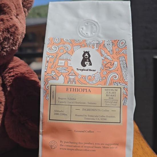 Ethiopia single origin coffee tropical bear ordering online