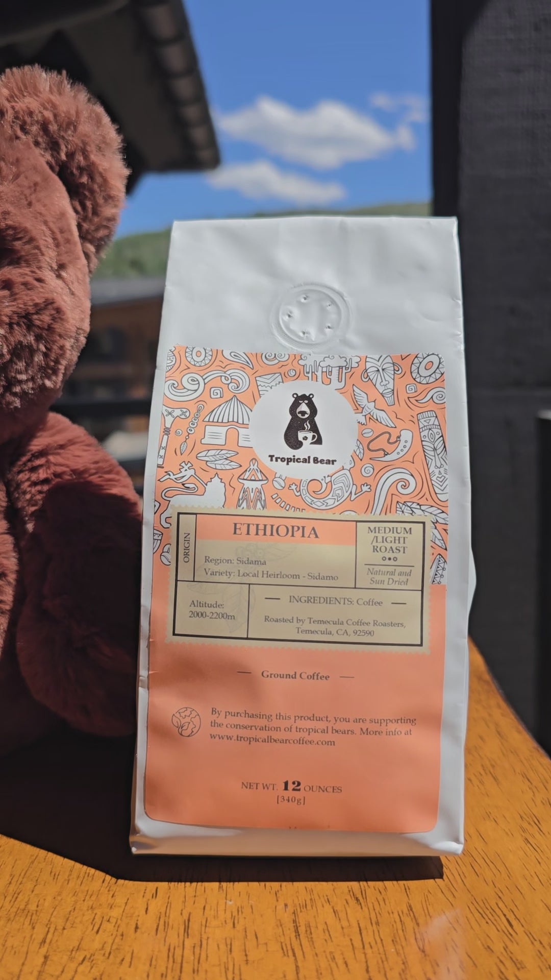 Ethiopia single origin coffee tropical bear ordering online